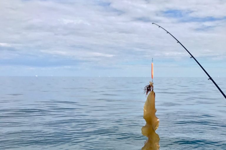 Angelrute über dem Wasser der Ostsee