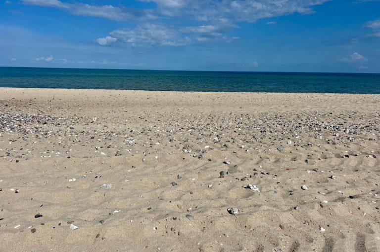 Ostsee-Sandstrand am Weidefelder Strand 