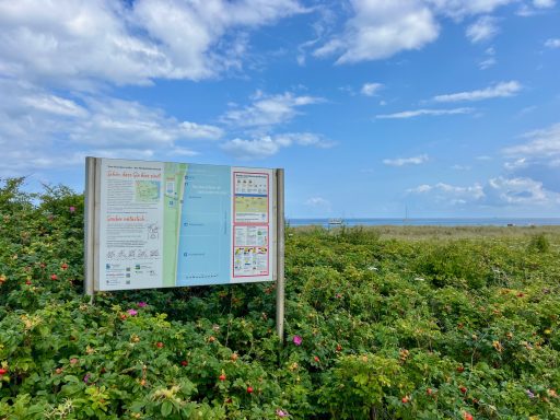 Weidefelder Strand - nur wenige Minuten entfernt! Infotafel in Rosenbüschen vor der Ostsee mit Infos zu Strandabschnitten Weidefelder Strand.