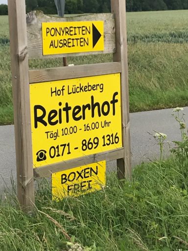 Reitvergnügen für Groß & Klein Infotafel am Wegesrand mit Kontaktinformationen zum Hof Lückeburg, Reiterhof.
