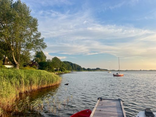 Ausflüge an die malerische Schlei Schlei-Impression mit Schlei und Uferbewuchs und Boot